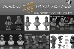 200 GB Printable STL File Bundle
