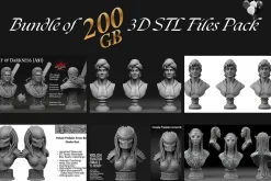 200 GB Printable STL File Bundle