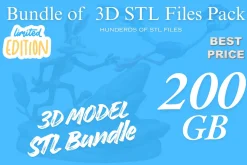 200 GB Printable STL File Bundle