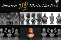 200 GB Printable STL File Bundle