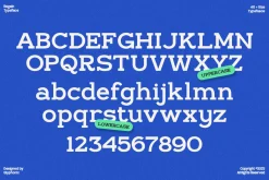 GC Regain - Display Bold Slab Serif