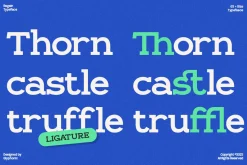 GC Regain - Display Bold Slab Serif