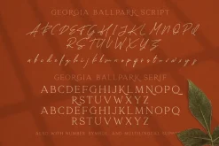 Georgia Ballpark - FONT DUO