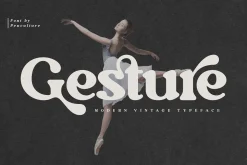 Gesture // Modern Vintage Typeface
