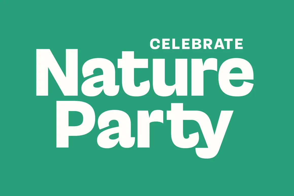 Gesty Ratio Modern Display Font