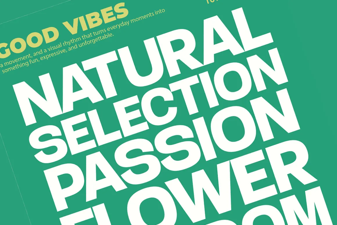 Gesty Ratio Modern Display Font