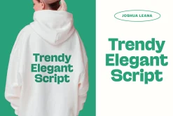 Gesty Ratio Modern Display Font