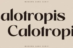 Giahfita Modern Sans Serif Font