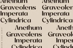 Giahfita Modern Sans Serif Font