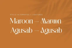 Giarek - Ligature Serif Font