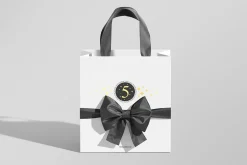 Gift Bag Mockup with Ribbon and Bow