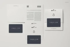 Gift Card Mockup Set
