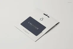 Gift Card Mockup Set