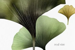 Ginkgo leaves Watercolor Clipart PNG