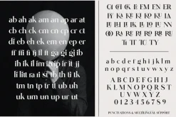 Glitten || Ligature Serif Font