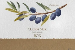 Glossy Silk Box for Procreate