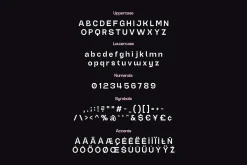 Gogoli 2.0 - Grotesk Type