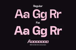 Gogoli 2.0 - Grotesk Type