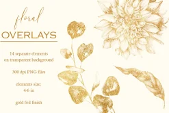 14 Gold foil floral stamps clip arts