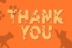 Good Cat - Decorative Font