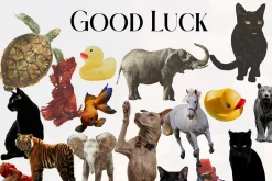 Good Luck. Collage creator.