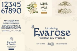 Gothic Font Bundle