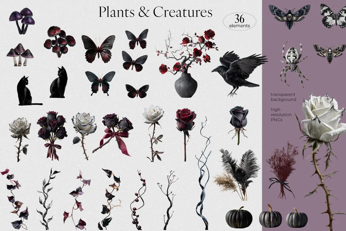 Gothic Glam – Halloween Collage Pack