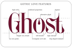 Gothic Love - Condensed Serif Font