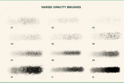 Gouache Shader Brushes | Procreate