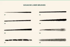 Gouache Shader Brushes | Procreate