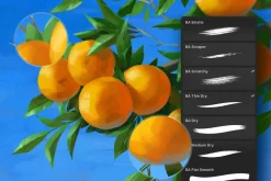 Gouache Zen Affinity Brushes