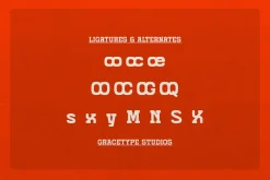 Grado Block | Rounded Slab Serif