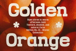 Grado Block | Rounded Slab Serif