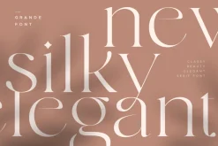grande - beauty classy serif font