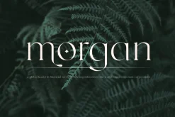 grande - beauty classy serif font