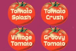 Grand Nights Modern Retro Font