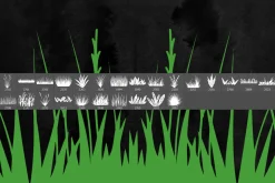 25 Grass Photoshop Stamp Brushes