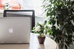 Green Workplace Macbook Mock-up, JPG