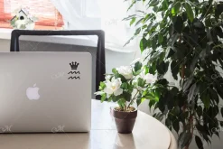 Green Workplace Macbook Mock-up, JPG