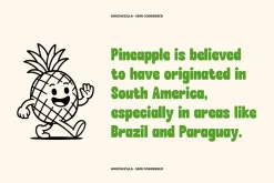 Groovezilla - Retro Bold Fonts