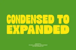 Groovezilla - Retro Bold Fonts