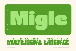 Groovezilla - Retro Bold Fonts