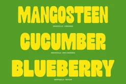 Groovezilla - Retro Bold Fonts
