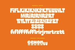 Groovezilla - Retro Bold Fonts