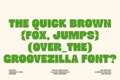 Groovezilla - Retro Bold Fonts
