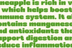 Groovezilla - Retro Bold Fonts