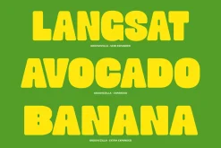 Groovezilla - Retro Bold Fonts