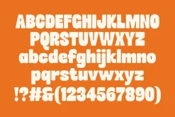 Groovezilla - Retro Bold Fonts
