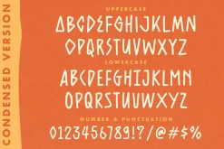 Groovy Friends - Playful Font