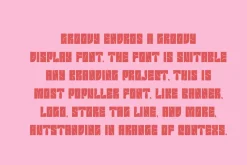 Groovy Endros - Typeface Font